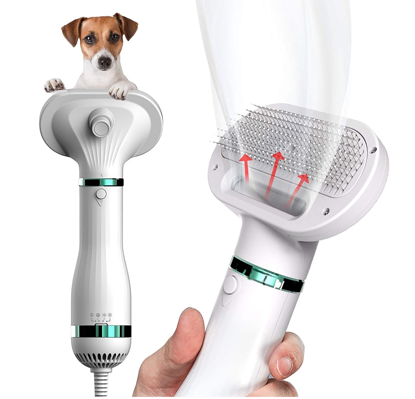Secador-Cepillo para Mascotas 2 en 1 | Cuidado y Secado Rápido - Portátil y Eficiente